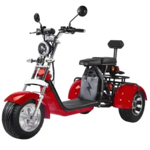 Factory Hot Selling High Speed Scooter 2000w Scooters Tricycle Citycoco Lithium Battery 60v 20ah 30ah 40ah Electric Vehicle Tric