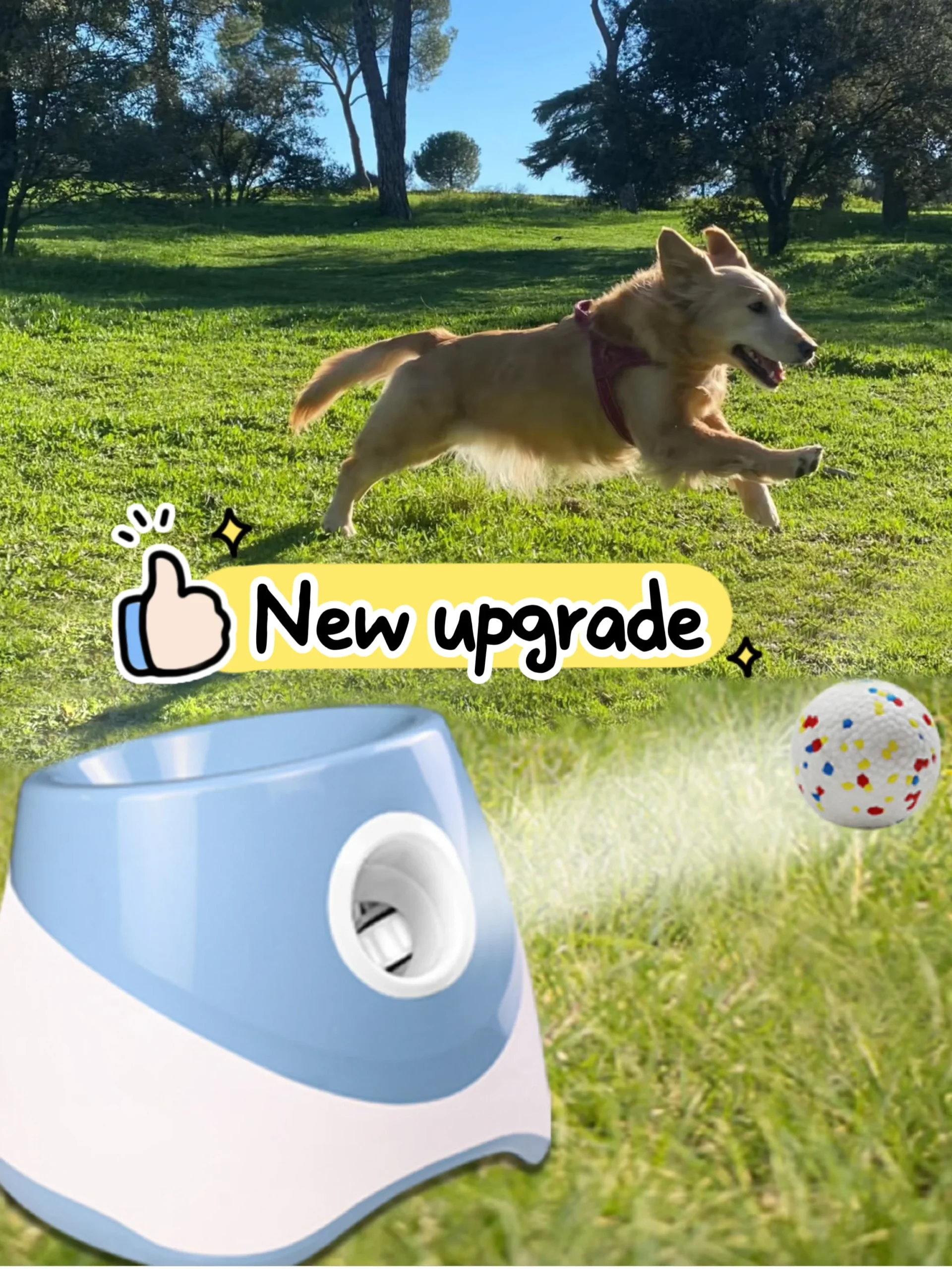 Dog Launcher Automatic Dogs Chase Toy Tennis Throwing Pinball Machine Fun Interactive Throw Rechargable Catapult USB Charging - Image 6