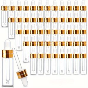 Set of 100 Clear Glass Dropper Bottles, Each Holding 0.17oz, 5.2 ml . Ideal for Sampling Essential Oils, Perfumes, And Cosmetic Liquids. These Empty Vials Come with Golden Caps, Perfect for Travel.